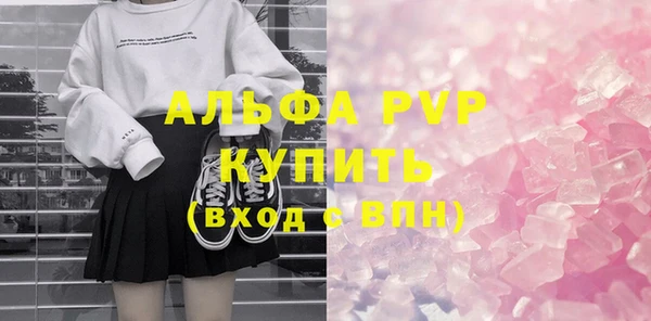 шишки Няндома