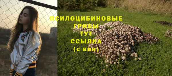 мдпв Нязепетровск
