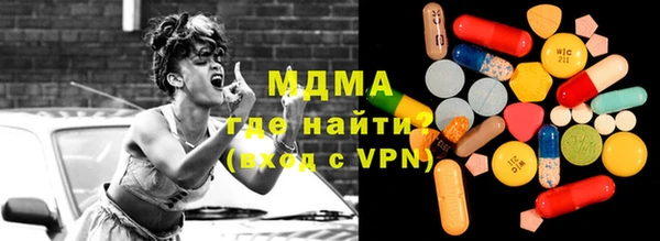 шишки Няндома