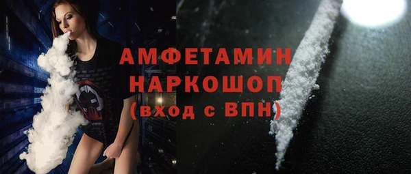 шишки Няндома