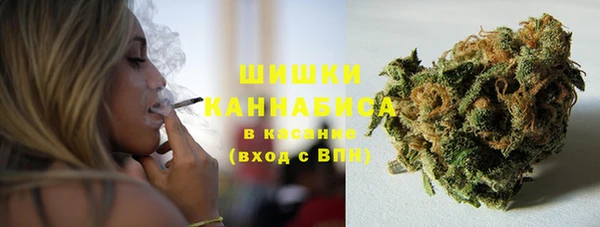 шишки Няндома