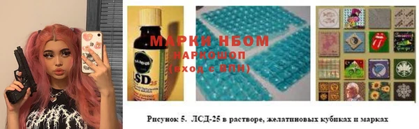 шишки Няндома