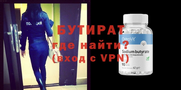 шишки Няндома