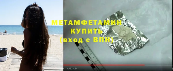 шишки Няндома