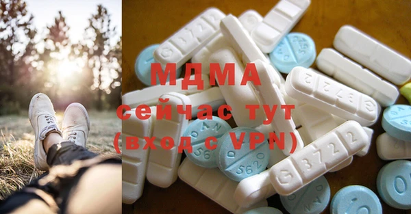 шишки Няндома