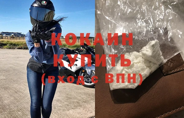 шишки Няндома
