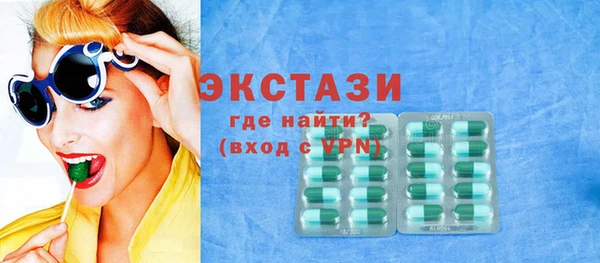 шишки Няндома