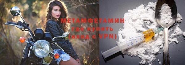 шишки Няндома