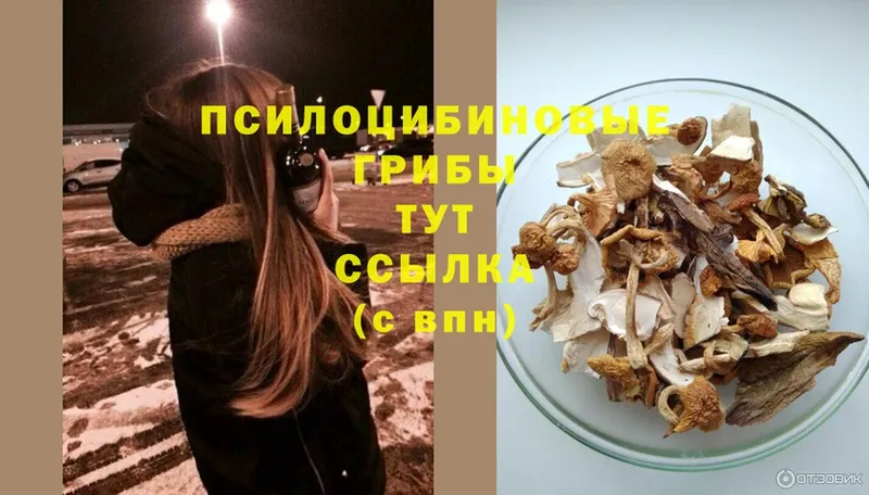 Псилоцибиновые грибы Magic Shrooms  наркота  mega онион  Курск 