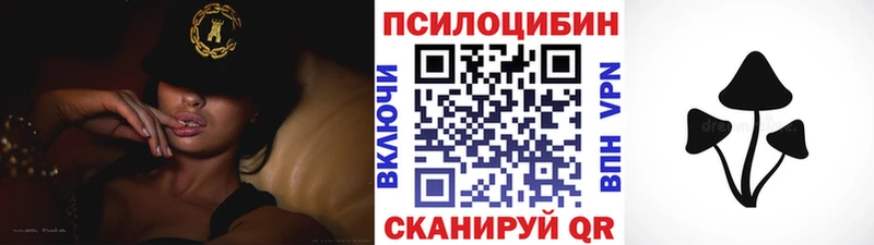 Псилоцибиновые грибы Psilocybine cubensis Курск
