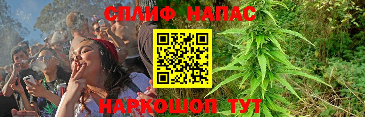 Канабис сатива Курск